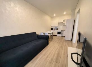 Однокомнатная квартира в аренду, 40 м2, Республика Башкортостан, улица Ахметова, 154