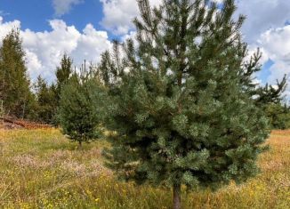 Продаю земельный участок, 10 сот., Псковская область