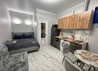 Квартира в аренду студия, 22 м2, Сочи, улица Панфилова, 2, микрорайон Голубые Дали