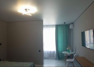 Квартира на продажу студия, 29.4 м2, Ставрополь, улица Назара Енина, 1к1, Промышленный район