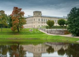 Продам 2-комнатную квартиру, 45 м2, Гатчина, улица Хохлова, 21