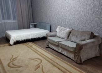 Сдается в аренду 1-ком. квартира, 47 м2, Краснодар, Промышленная улица, 33, микрорайон Центральный