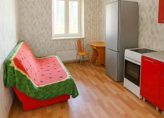 Продажа 1-комнатной квартиры, 38.8 м2, Пермь, улица Чернышевского, 17А, ЖК Альпийская Горка