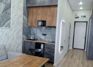 Сдам в аренду 1-ком. квартиру, 38 м2, Краснодар, Колхозная улица, 5, микрорайон Табачная Фабрика