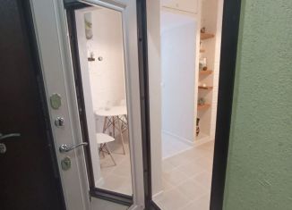 Аренда квартиры студии, 24.1 м2, Сочи, улица Лысая Гора, 27/22