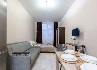 Квартира в аренду студия, 28 м2, Санкт-Петербург, Московский проспект, 183-185Б, ЖК Граф Орлов