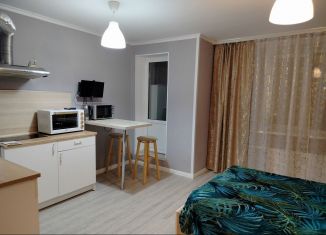 Сдаю квартиру студию, 26 м2, посёлок Парголово, улица Николая Рубцова, 5, ЖК Северная Долина