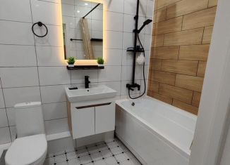 Аренда 1-комнатной квартиры, 40 м2, деревня Хотицы, Загородная улица, 7