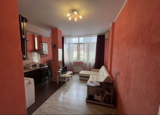 Продаю квартиру студию, 25 м2, Сочи, Виноградная улица, 224/6, микрорайон Мамайка