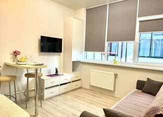 Сдам квартиру студию, 17 м2, Сочи, Молодогвардейская улица, 2/57, микрорайон Соболевка