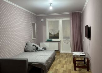 Сдается однокомнатная квартира, 40 м2, Елабуга, улица Автомобилистов, 7