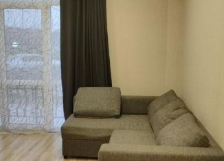 Однокомнатная квартира в аренду, 30 м2, село Черешня, Владимировская улица, 141