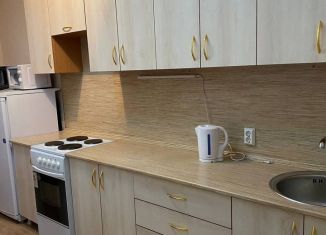 Сдам однокомнатную квартиру, 37 м2, Республика Башкортостан, улица Шмидта, 158/1