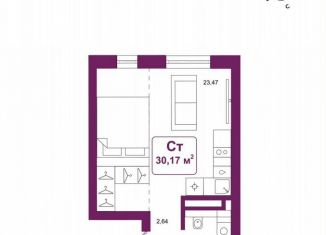 Продажа квартиры студии, 30.2 м2, деревня Дударева, улица Сергея Джанбровского, 25