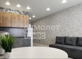 Сдается в аренду квартира студия, 21.9 м2, Екатеринбург, ЖК Тихий Берег-2, Рощинская улица, 31