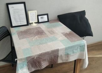 Квартира в аренду студия, 27.5 м2, Новосибирск, улица Немировича-Данченко, 167/2, ЖК Расцветай на Маркса