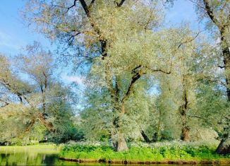 Участок на продажу, 80 сот., деревня Выра