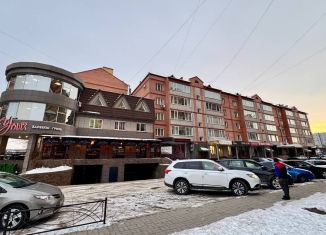 Торговая площадь на продажу, 221.2 м2, Абакан, улица Бограда, 135