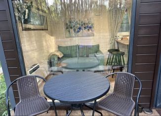 Сдается в аренду дом, 22 м2, деревня Бакино, Зареченская улица, 33