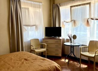 Сдается в аренду дом, 26 м2, поселок городского типа Отрадное, улица Мориса Тореза, 4В