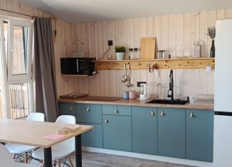 Сдается в аренду дом, 35 м2, село Верхнезаморское, Восточная улица, 26