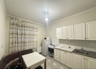 Сдается в аренду 1-ком. квартира, 42.8 м2, Краснодар, улица Селезнёва, 4/10, микрорайон Черемушки