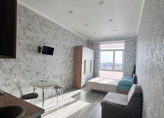Продаю квартиру студию, 23.9 м2, Сочи, Донской переулок, 11Б, микрорайон Донская