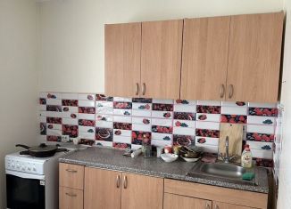 Сдам в аренду 1-комнатную квартиру, 36.8 м2, Орёл, Зареченская улица, 4к2, микрорайон Зареченский