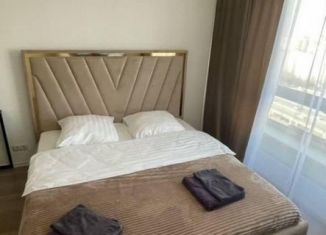 Аренда квартиры студии, 30 м2, Котельники, Сосновая улица