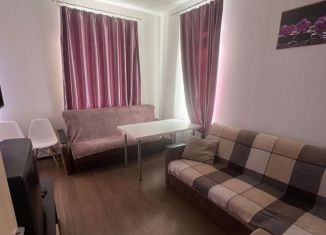 Сдаю в аренду квартиру студию, 27 м2, Санкт-Петербург, Советский проспект, 36к2, ЖК Невские Паруса