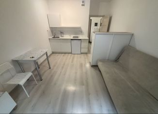 Сдается квартира студия, 24.5 м2, Мурино, Воронцовский бульвар, 22, ЖК Гринландия-2