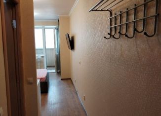 Сдается квартира студия, 23 м2, Удмуртия, Тверская улица, 55А