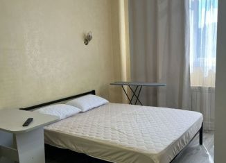 Квартира в аренду студия, 26 м2, Сочи, Клубничная улица, 15Б, микрорайон Новый Сочи