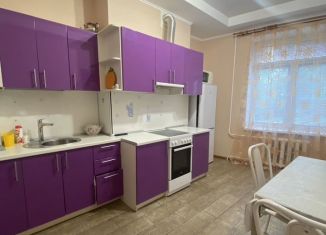 Аренда однокомнатной квартиры, 50.1 м2, Республика Башкортостан, улица Блюхера