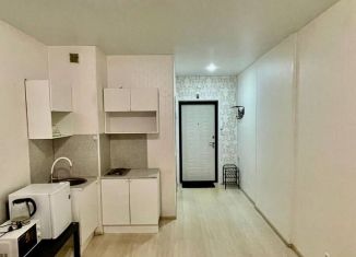 Продается квартира студия, 25 м2, деревня Афонино, улица Красная Поляна, 6