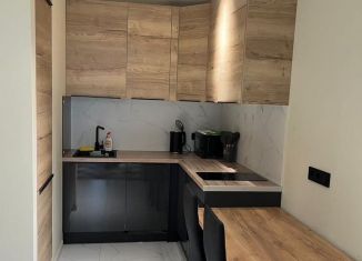 2-комнатная квартира в аренду, 34 м2, Сочи, переулок Трунова, 6к7, микрорайон Завокзальный