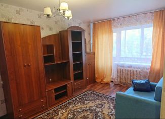 Сдам однокомнатную квартиру, 29 м2, Псков, Рижский проспект, 60