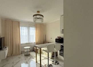 Продажа 1-комнатной квартиры, 34 м2, Санкт-Петербург, Дальневосточный проспект, 35к3, Дальневосточный проспект