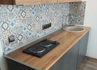 Квартира в аренду студия, 30 м2, Новосибирск, улица Немировича-Данченко, 167/1, ЖК Расцветай на Маркса