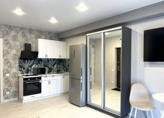 Сдается в аренду квартира студия, 30 м2, Сочи, улица Яна Фабрициуса, 66/6