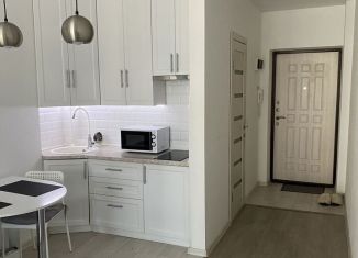 Сдам квартиру студию, 23 м2, Ростов-на-Дону, улица Герасименко, 17/2