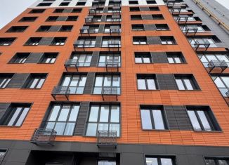 Квартира в аренду студия, 30 м2, Республика Башкортостан, Айская улица, 51