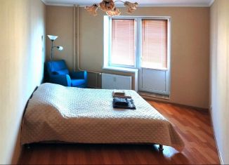 Однокомнатная квартира в аренду, 41 м2, посёлок Парголово, улица Николая Рубцова, 13