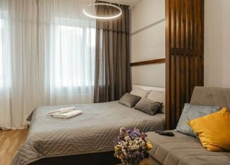 Аренда 1-комнатной квартиры, 37 м2, Калининград, улица Сержанта Мишина, 68А