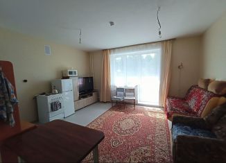 Квартира в аренду студия, 27 м2, Чайковский, улица Кочетова, 1