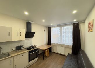 Сдается однокомнатная квартира, 38 м2, Сочи, Ясногорская улица, 16/2к7