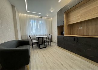 Сдам в аренду однокомнатную квартиру, 42 м2, Казань, улица Сибгата Хакима, 52