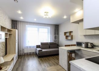 Квартира в аренду студия, 25.4 м2, Тюмень, улица Тимофея Чаркова, 28, ЖК Новый Мыс 3.0