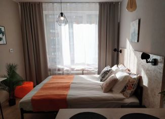 Сдам квартиру студию, 22 м2, посёлок Парголово, Толубеевский проезд, 8к2