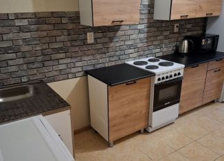 Сдается 1-комнатная квартира, 45 м2, Мурино, проспект Авиаторов Балтики, 9к3, ЖК Виктория